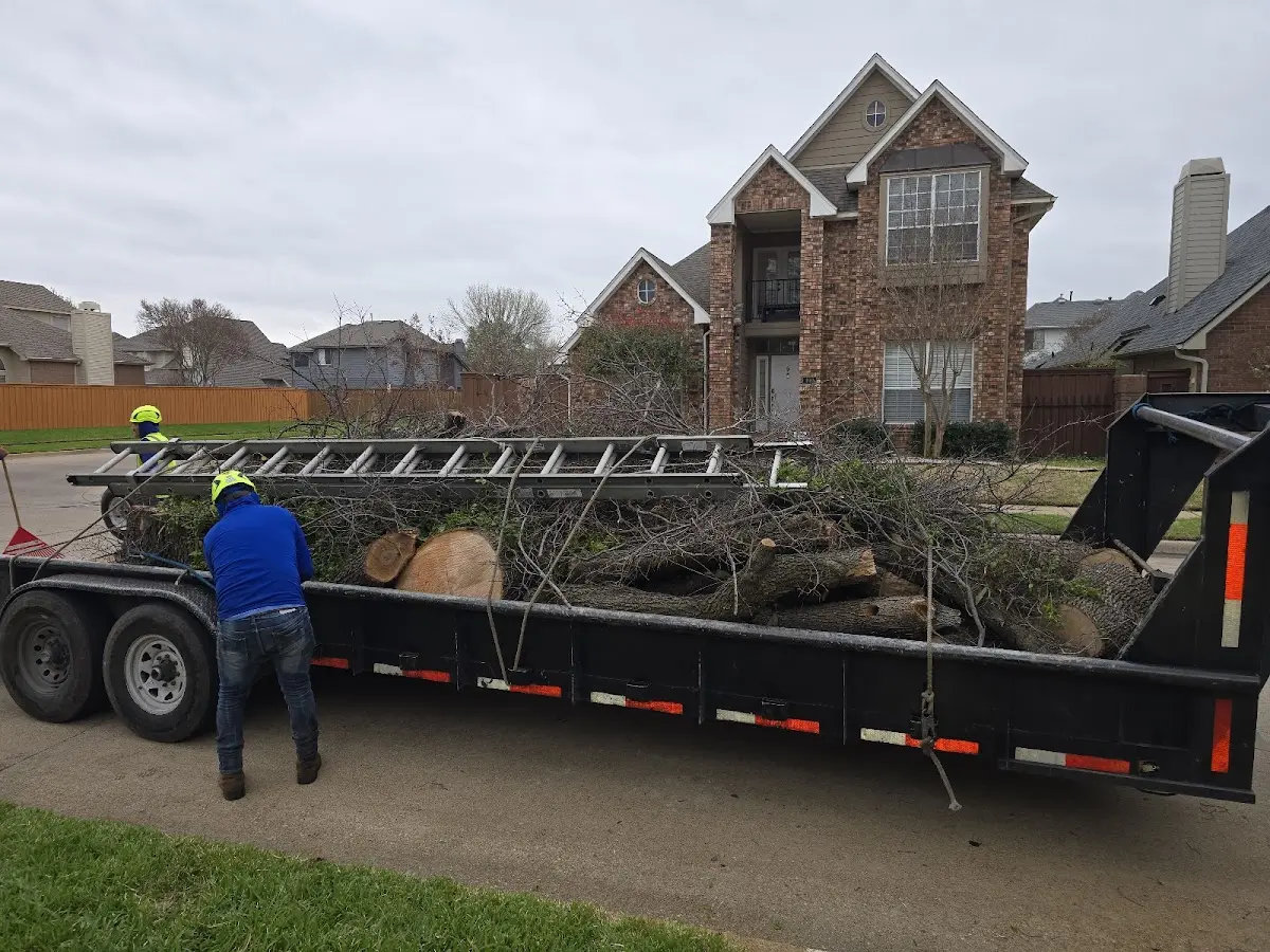 Expert Lot Clearing with proper safety equipment in Wever